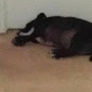 Meet your Posher, Brandon